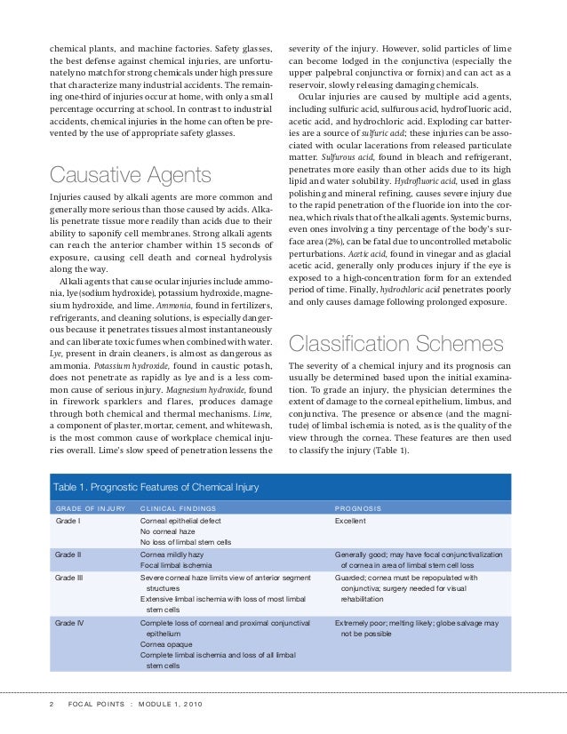 Focal Points 2010 : Clinical Modules for Ophthalmologists